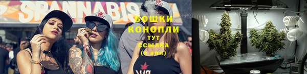 дмт Переславль-Залесский