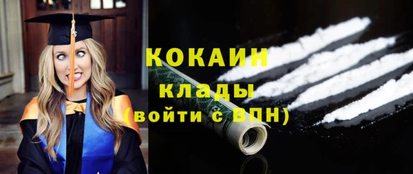 бошки Пересвет