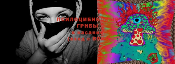 меф Алексин